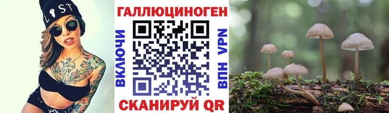 Псилоцибиновые грибы мухоморы  купить закладку  Камень-на-Оби 